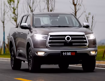 Great Wall Pao '2019–23