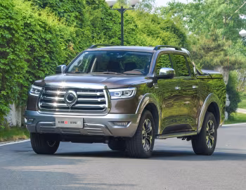 Great Wall Pao '2019–23
