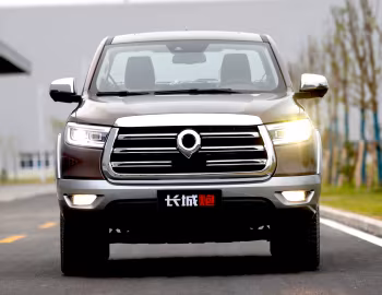 Great Wall Pao '2019–23