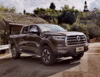 Great Wall Pao '2019–23