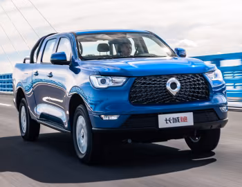 Great Wall Pao Commercial '2019–23