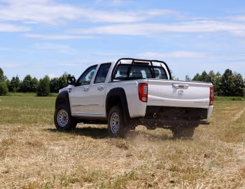 Great Wall Steed 6 Work [Italy] '2018–21