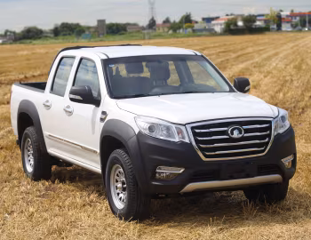 Great Wall Steed 6 Work [Italy] '2018–21