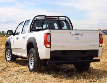 Great Wall Steed 6 Work [Italy] '2018–21