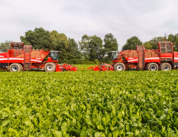 Grimme Rexor 630, Grimme Rexor 620