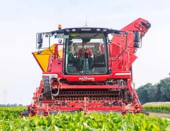 Grimme Maxtron 620 '2017–pr.