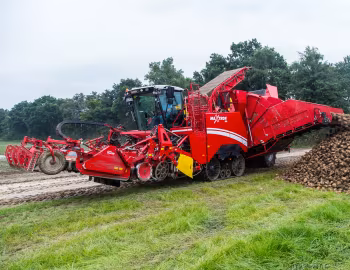 Grimme Maxtron 620 '2017–pr.
