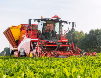 Grimme Maxtron 620 '2017–pr.