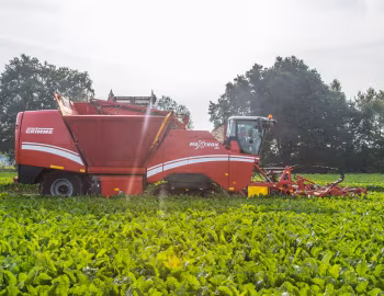 Grimme Maxtron 620 '2017–pr.