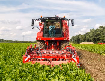 Grimme Rexor 620 '2017–pr.