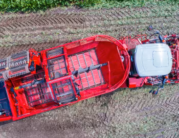 Grimme Rexor 620 '2017–pr.
