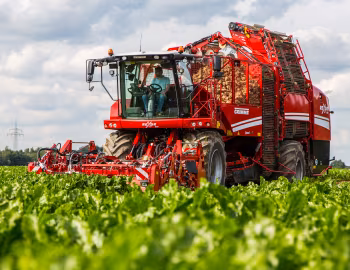 Grimme Rexor 620 '2017–pr.