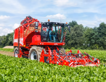 Grimme Rexor 620 '2017–pr.