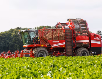 Grimme Rexor 620 '2017–pr.