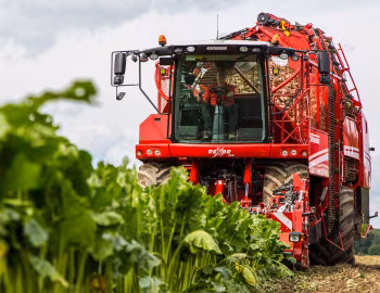 Grimme Rexor 620 '2017–pr.