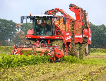 Grimme Rexor 630 '2017–pr.