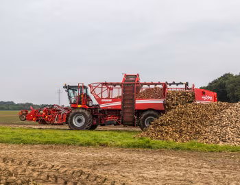 Grimme Rexor 630 '2017–pr.