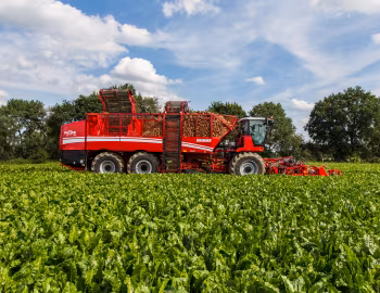 Grimme Rexor 630 '2017–pr.