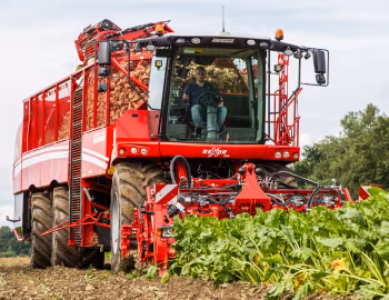 Grimme Rexor 630 '2017–pr.