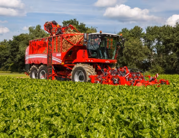 Grimme Rexor 630 '2017–pr.