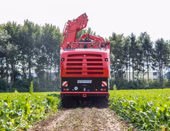 Grimme Rexor 630 '2017–pr.
