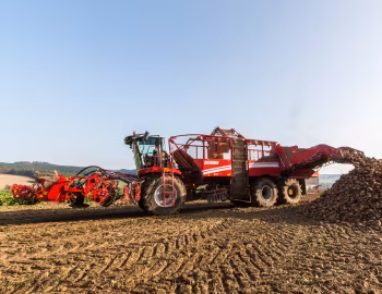Grimme Rexor 630 '2017–pr.