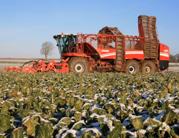 Grimme Rexor 630 '11.2012–17