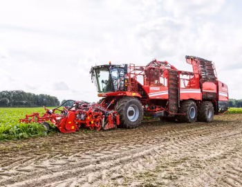 Grimme Rexor 630 '2017–pr.