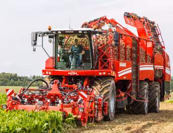 Grimme Rexor 630 '2017–pr.
