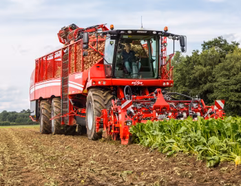 Grimme Rexor 630 '2017–pr.