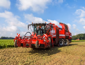 Grimme Rexor 630 '2017–pr.