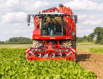 Grimme Rexor 630 '2017–pr.