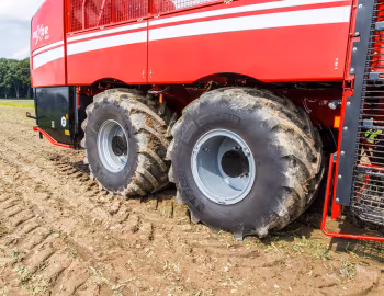 Grimme Rexor 630 '2017–pr.