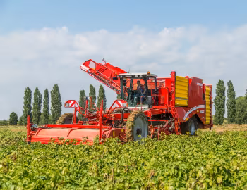 Grimme Varitron 470 '2011–pr.
