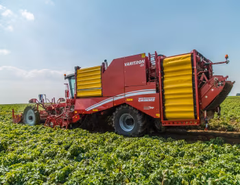 Grimme Varitron 470 '2011–pr.