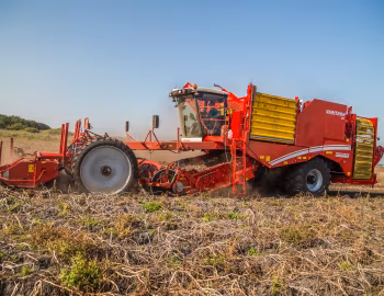Grimme Varitron 470 '2011–pr.