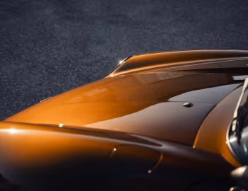 Gunther Werks Speedster "Chaos Nineteen Ninety Five" (993) '2024