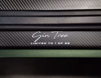 Gunther Werks Speedster "Gin Tree" Launch Edition (993) '2022