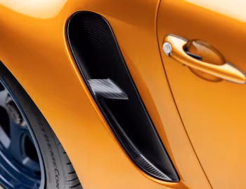 Gunther Werks Turbo "Dragon Ball" (993) '2025