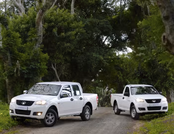 GWM Steed