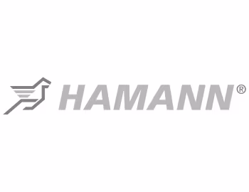 Лагатып Hamann
