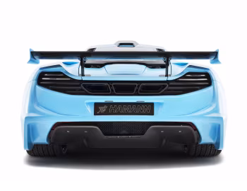 Hamann memoR Blue Edition '2013–14