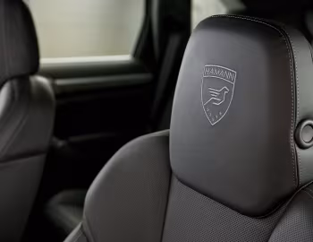 Interior Hamann Guardian (958) '2011–14