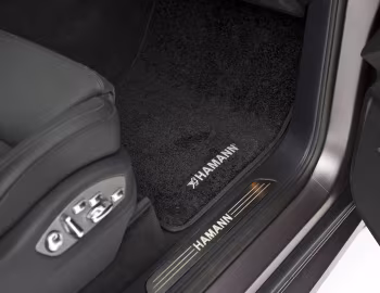 Interior Hamann Guardian (958) '2011–14