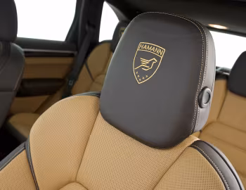 Interior Hamann Guardian EVO (958) '2011–14