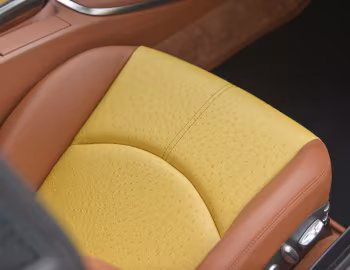 Intérieur Hamann Stallion (997) '2008