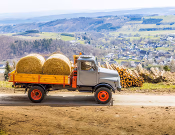 Hanomag AL 28 Pritschenwagen '1964–71