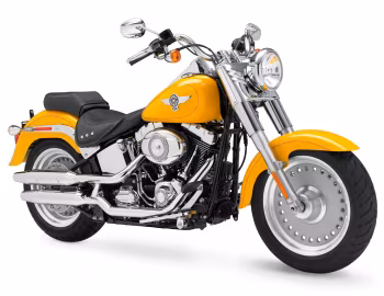 2011 Harley-Davidson FLSTF Fat Boy '2010–11