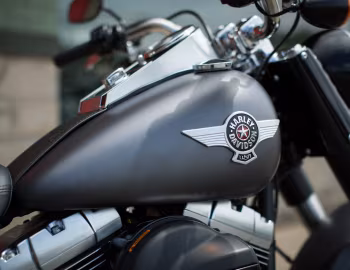 Logo 2016 Harley-Davidson FLSTFB Fat Boy Lo '2015–16