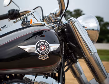Logo 2016 Harley-Davidson FLSTF Fat Boy '2015–16